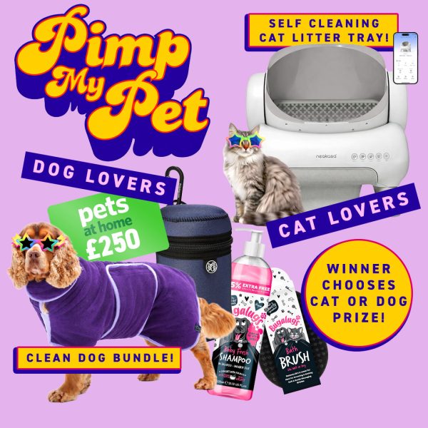 Pimp my pet - Cat or Dog Hamper 🐕🐈